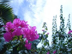 夏休み沖縄２００９☆　台風に向かって