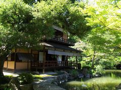 真夏の京都御苑　トンボ池の一般公開から拾翆亭へ