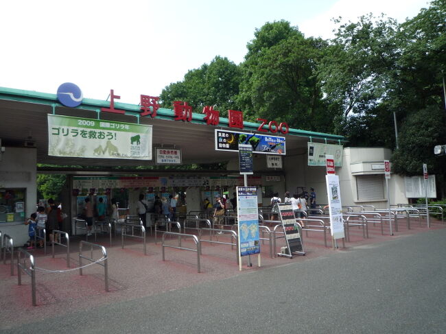 上野動物園に初めて行きました。<br />パンダはいませんでした…。