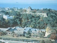 彦根城って、小さいけど、綺麗なお城でした。