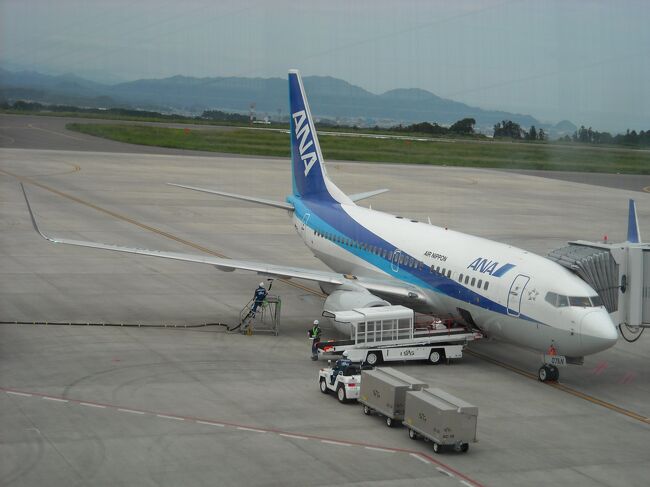 　　　　　　　　　　　ボーイング７３７−７００型機 （ ANA ）<br /><br />８月９日ＡＮＡの機長パイロットである甥から、フライトで初めて富士山静岡空港に着陸するとの連絡があり、その乗機の離発着と、空港の飛行機などを見物のため空港へ行く。今年６月４日に開港したばかりの富士山静岡空港は、定期便数も少ないので、搭乗客よりも見物客のほうが多いような状況でした。