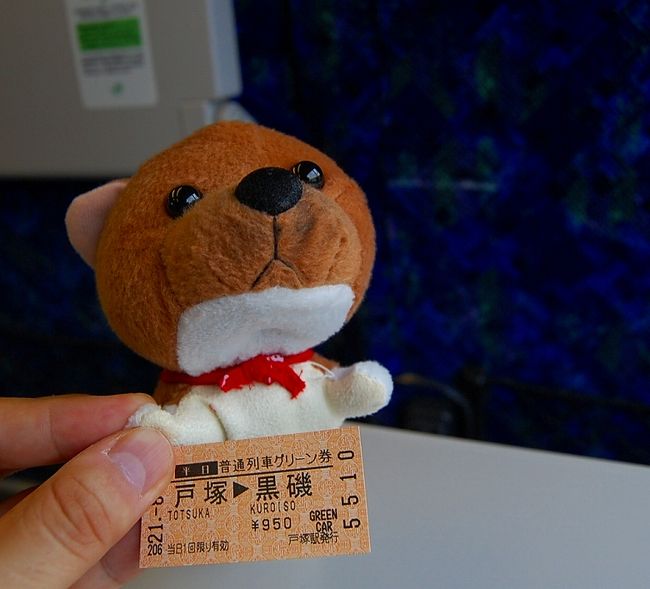 最近の私の旅行記は、「野球」ネタばかりで不評なので、今年の夏の青春18きっぷ旅行記は、野球を削除して作りました。<br /><br />それが、こちら。<br />青春18きっぷで郡山へ!グリーン車の旅!ビールをガブガブ編<br />http://4travel.jp/traveler/chifu/album/10364690/<br /><br />でも、実際は、野球ネタがゴロゴロしていたので、<br />上記旅行記とはかぶらない写真で、もう一旅行記。<br /><br />ちなみに、通過駅は、<br />戸塚→横浜→池袋→大宮→宇都宮→黒磯→郡山→猪苗代→磐梯熱海→郡山→磐城石川→水戸→土浦→上野→御徒町→秋葉原→亀戸→東京→横浜→戸塚です。<br /><br />