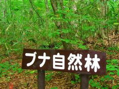 青森県五能線十二湖駅　楽しい散策コース