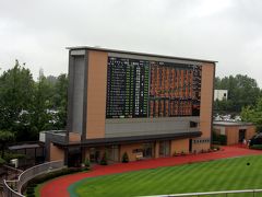 雨の夏競馬