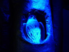 その7　スダ・メ・ムーチョ！　スペイン奇行　2009.8 　その前にフィンランド　・　ムーミンワールド　ニョロニョロさんやーい