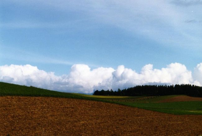 １９９２年の美瑛です。<br />美瑛の丘の色は、毎年違う色を見せます。