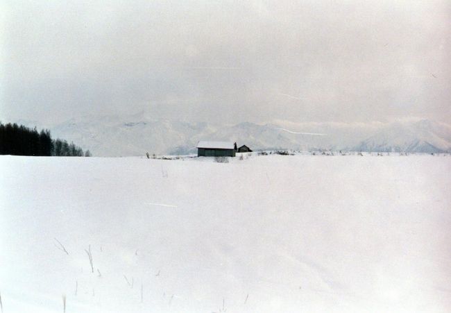 冬の美瑛です。