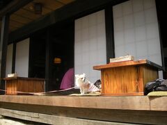 2007年7月：うちのお犬様とin那須高原の旅（2日目