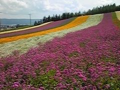 北海道