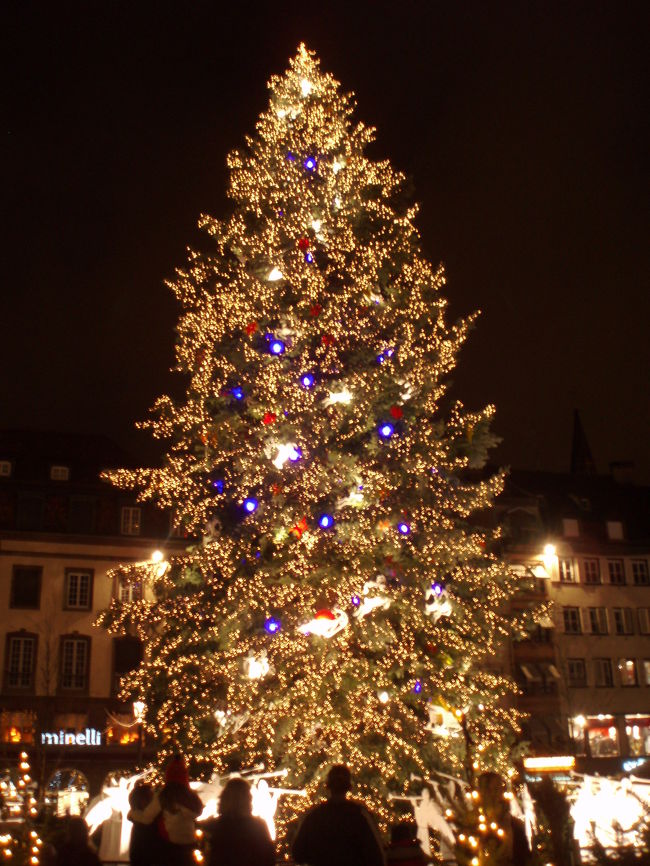 2008年12月7日からパリに住んでいる間にひとりで旅行をしようと、行きたかったアルザス地方へ行って来ました！<br />TGVもホテルもすべて自分でネットで予約しました(*^^)v<br /><br />クリスマス時期ということもあって、世界でも有名なクリスマス市を楽しんだり。<br />アルザスワイン街道めぐりやワイナリーにも行きました（*^_^*）<br />アルザス料理も美味しくて、また行きたいと思ってます！