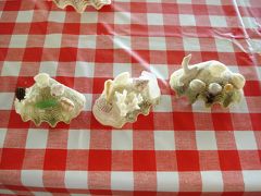 夏休み沖縄2009☆　作って楽しもう！