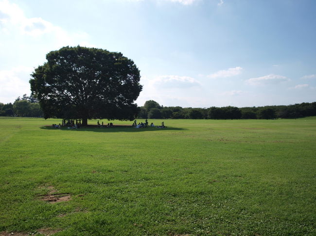 朝早くから立川駅近くにある昭和記念公園に行きました。<br />この公園は昭和天皇即位50周年記念事業の一環として米軍基地の跡地の<br />一部につくられた国営公園です。<br /><br />大きさは149ha。ディズニーランド3個分、東京ドーム32個分!<br /><br />広大な敷地に、森・原っぱ・湿地・庭園・巨大遊具などがあり、<br />どこに行っても楽しく過ごせる場所でした。<br /><br />サイクリングコースで各所を回るといろんな景色に出会えます。<br />特に、雲の海・ふわふわドーム(膜状のトランポリン)は2,3歳からの<br />子供さんから大人まで楽しめる遊具でした。<br />オススメです。