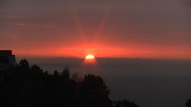 　旅行好きな私たち夫婦、しかし娘が生まれ暫く宿泊を伴う旅行は自粛…<br />　そして、この夏７か月になった娘を引き連れての旅行を決行いたしました。<br /><br />　初日は朝４時に自宅を出発、小田原厚木道路の小田原ＰＡで朝食と休憩をとり、６時半に再出発・・・<br />　しかし、すでに石橋の渋滞は始まっていた…<br />　わんわん泣く娘をなだめつつ約一時間で渋滞を通過、真鶴でもちょっとした渋滞に遭遇し、熱海へ…<br /><br />　ＭＯＡ美術館は休館日…<br />　実は当日の出発前に見ていたテレビで一瞬その可能性があることを知ってはいたもののショック…<br /><br />　とりあえず熱海を出て、伊東の道の駅へ。<br />　そこで娘の食事と我々のおやつ（アイス）。そして、海を眺めての一服。<br />　富戸近くの回転寿司で早めの昼食（１１時）。そして行くあてもなく、なんとなく電柱の看板に誘われるままにＮの博物館へ…（これがまたひどかった…）<br />　失意と早起きの疲れでチェックイン３時のペンションに２時20分に到着。そして、もはや出る気なし…<br />　風呂に入って、ビールを飲んで、ご飯を食べて、ワインを飲んで、寝ました。<br />　２日目は下田まで足をのばしたので下田の旅行記へ。<br />　帰ってきたのは同じペンション。<br />　風呂に入って、ビールを飲んで、ご飯を食べて、ワインを飲んで、寝ました。<br />　３日目は熱川バナナワニ園へ。なかなか良かったですよ。娘はゾウガメに乗りました。<br />　伊豆高原へと戻り、ちょっと高めの和食屋に立ち寄って金目鯛の煮つけ定食を食べた後、グランパル公園の隣にある旅の駅でお土産を購入し、一休み。<br />　そこを出発したのが２時半。<br />　帰りの渋滞を恐れつつ、伊豆スカイラインへ。<br />　混まないとは聞いていたものの、全く混まないとは思っていなかったので感動！<br />　さらに箱根新道から小田原厚木道路に出て、念のため伊勢原で退避。その後は一般道の裏道で帰り、家に着いたのが７時。<br />　ＶＩＶＡ伊豆スカイライン！