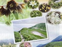 09  東北の夏山を楽しむ　・・・　⑧月山・花トレッキング