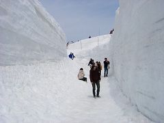 雪の大谷、１０メートルを超える雪の壁を見てみたかったけど、