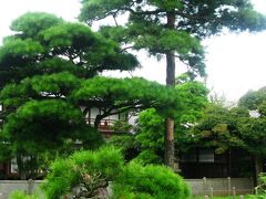 佐倉：旧堀田正倫別邸庭園を訪ねて　☆明治期の和風建築美