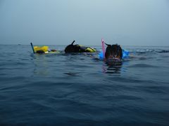 家族みんなでレダン島へGO！！その④