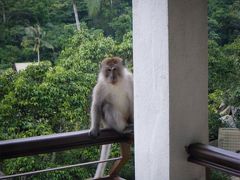 家族みんなでレダン島へGO！！その⑥