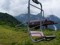 白馬五竜　山野草を見に行った