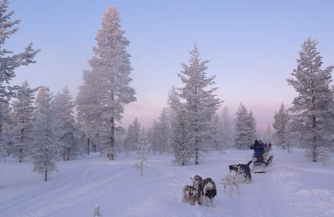 「オーロラ見に行く？」の何気ない会話から計画が始まった今回の北欧旅行☆<br />調べてみると、オーロラのほかにもサンタクロース、犬ゾリ、スノーモービル、スノードーム、かもめ食堂、北欧デザイン、大聖堂、ミートボール、チョコレート・・・と、心ひかれるものがいっぱい！！<br />氷点下20～30℃という未経験の寒さだけが唯一不安だったけど、その寒ささえ大好きになるぐらい、最高に素敵な国でした*。.+<br />美しいもの好き、自然好き、アクティビティ好き、デザイン好き、そんな人には絶対行ってほしいです！！<br /><br />**行った都市**<br />ロヴァニエミ～サーリセルカ～ヘルシンキ