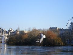 ロンドンの公園たち