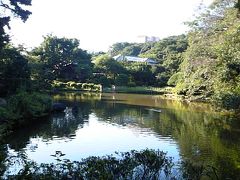 新江戸川公園