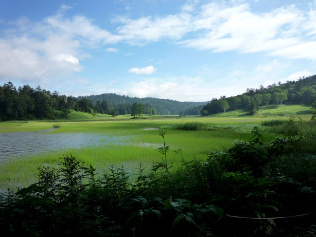 　尾瀬が良かったという話を聞いていつかは行ってみたいと思っていた。<br />尾瀬は本州最大の湿原で群馬県や福島県などにまたがる国立公園だ。<br />本来であれば水芭蕉やニッコウキスゲが咲く時期に訪れるのがベストだが、<br />真夏ならではの青々とした草木や池塘のコラボレーションも素晴らしかった。<br /><br />7月13日（木）　1日目<br /><br />　自宅から東京まで新幹線、東京から夜行バスと乗り継ぎ尾瀬に到着。<br />大清水から尾瀬沼、そして宿泊する山小屋周辺までトレッキングした。