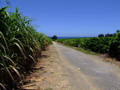 沖縄本島 ①