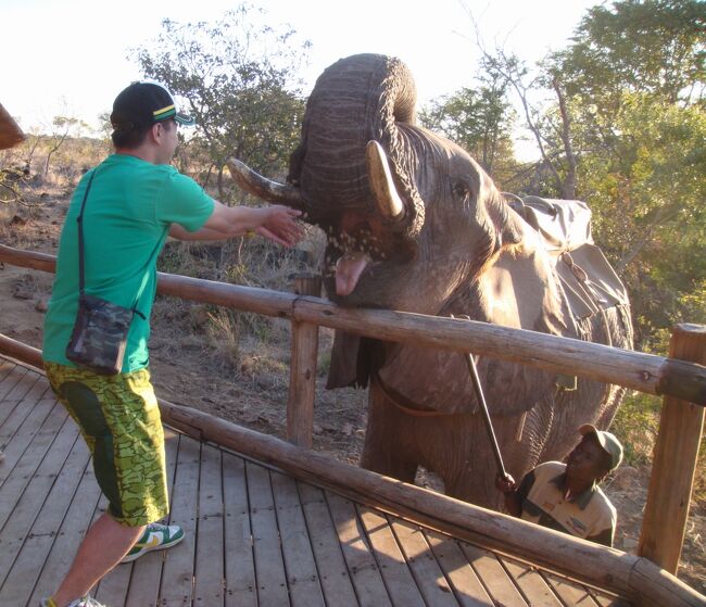 楽しんたぜ！！ ２００９ ジンバブエ『アフリカゾウの背中に乗って散歩と餌をあげたぜ♪ザンベジビールTシャツをＧＥＴ♪』 IN　ビクトリアの滝