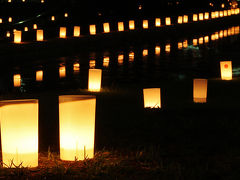 なら燈花会（ならとうかえ）に行ってみました。　/奈良市
