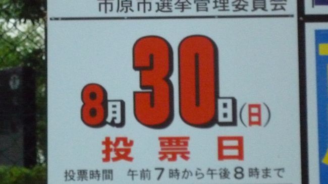 　今日は衆議院議員選挙の投票日だ！！