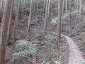 龍神の旅行記