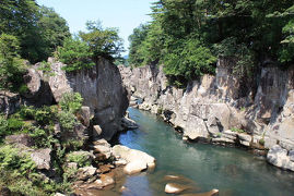 展勝地＆厳美渓で観光＆バードウォッチング [2009](1) 