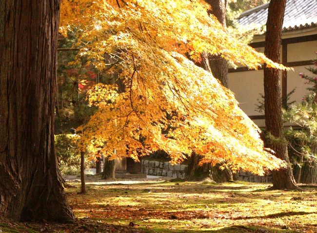 南禅寺は、京都市左京区南禅寺福地町にある、臨済宗南禅寺派大本山の寺院で、山号は瑞龍山です。本尊は釈迦如来、開基（創立者）は亀山法皇、開山（初代住職）は無関普門（大明国師）。日本最初の勅願禅寺であり、京都五山および鎌倉五山の上におかれる別格扱いの寺院で、日本の全ての禅寺のなかで最も高い格式をもちます。<br />&#10139;名所・史跡を訪ねて<br />http://joy555.blogspot.com/2009/12/blog-post_22.html<br />&#10139;スライドショー<br />http://picasaweb.google.com/m.joy555/26?feat=directlink#