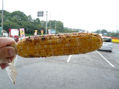 高原の新緑を身近に感じに !  ②