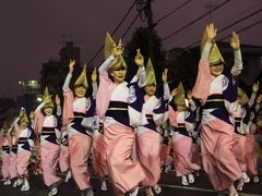 雨にも負けず　｢ヤットサー」　２日連続見る阿呆　～高円寺阿波踊り～