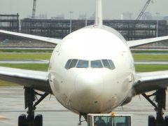 雨の羽田空港は