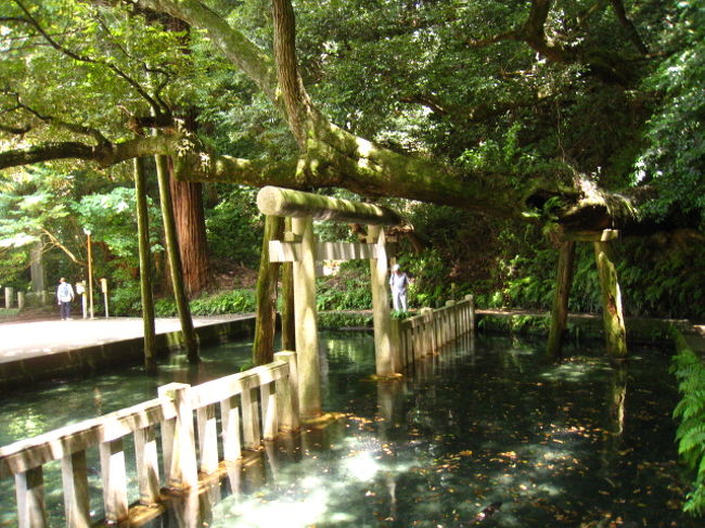茨城県鹿嶋サッカースタジアム近くにある、鹿島神宮を散策しました♪　正門からではなく裏手側から入ると素敵な池にめぐり合えます。