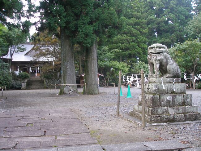 当大滝山は阿讃の国境海抜九四五メートルの高陵七尾七谷を有する全国稀なる霊地なるにより神代時代より神の発祥地として有名なり仰も鎮護の西照神社の祭神は天照大神の御弟月読尊(つきよみのみこと)にましまして この大神の御功(いさお)は天祖の大神の勅(みこと)を以て大海のはらまた夜見の国を主宰(つかさど)り蒼生人(あおひとぐさ)の九厄十厄をやらい退け夜毎に白露をふらし五穀草木を潤し海上安全を守護し神威厳かなれば古来より登山参拝者今にたえず山号も中古の頃まで田寸(たき)山神社と称し延喜式神名帖による日本国内三千一百三十二社阿波国五十社の内の神社なりしが幕政時代の変革により各神社は各々寺院或は別当の専有奉仕となり山号を大滝獄と改め社名を西照権現と改称され明治維新に至り同三年太宰官布告により神仏混合分離の政令によりて同六年社名を西照神社、社格は郷社に列せられ日本壱社崇敬社となりたり然して中昔藩政時代阿州猪ノ尻の城主稲田家信仰篤く現脇町字大谷奥部落を当社の地領として石高九石八斗余を寄附せられ また讃州高松の藩主松平家の祈願所なるにより営繕費として石高五十石を寄附されたり なお委(くわ)しきは爰(ここ)に記行にいとまあらず神恩を見て尊信存仰と云々 天保に奉納。祠堂に逃げ込んだ母子を襲おうとする狼に、この狛犬が襲いかかって母子を助けたという伝説がある。