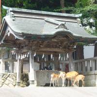 大正ロマンの銀山温泉と日本三景・松島　ドライブの旅（その２）～牡鹿半島～
