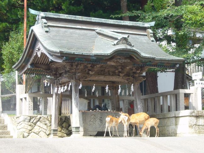 2009/8/27~29、nn回目の誕生日を兼ね、ノスタルジックな銀山温泉(山形県)から松島(宮城県)にかけてドライブ&温泉三昧の旅を満喫しました。今回泊まった宿はどちらも大正解! 山と海、古風な旅館と洗練されたホテルと、対照的なステイを楽しむことができ、また訪れたい場所となりました。<br /><br /><旅程>(◎はこの旅行記)<br />8/27(木)東京→(東北道・山形道経由)→銀山温泉<br />◎8/28(金)銀山温泉→牡鹿半島・金華山→松島<br />8/29(土)松島観光→(三陸道・東北道経由)→東京<br /><br /><宿泊><br />8/27(木)古山閣(http://www.kozankaku.com/)(一泊二食13,800円byじゃらん)<br />8/28(金)海風土(http://www.furofushi.com/)(一泊二食28,000円) <br />