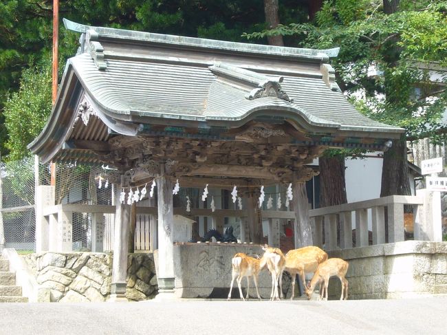 　2009/8/27～29、nn回目の誕生日を兼ね、ノスタルジックな銀山温泉（山形県）から松島（宮城県）にかけてドライブ＆温泉三昧の旅を満喫しました。今回泊まった宿はどちらも大正解！　山と海、古風な旅館と洗練されたホテルと、対照的なステイを楽しむことができ、また訪れたい場所となりました。<br /><br />＜旅程＞（◎はこの旅行記）<br />8/27(木）東京→（東北道・山形道経由）→銀山温泉<br />◎8/28(金）銀山温泉→牡鹿半島・金華山→松島<br />8/29(土）松島観光→（三陸道・東北道経由）→東京<br /><br />＜宿泊＞<br />8/27(木）古山閣（http://www.kozankaku.com/）（一泊二食13,800円byじゃらん）<br />8/28(金）海風土（http://www.furofushi.com/）（一泊二食28,000円） <br />