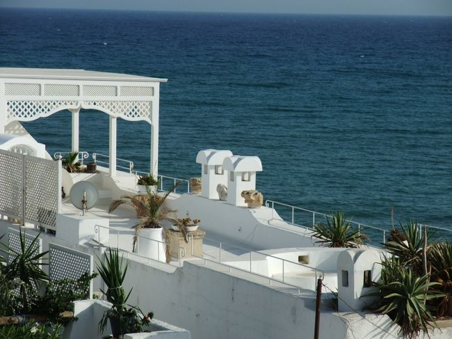 チュニジア滞在は２日間なのでチュニス、ハマメット、ヤスミン、シディ・ブ・サイド、ラ･マルサ、カルタゴ（ビュルサの丘、円形闘技場、アントニヌスの共同浴場、古代カルタゴの港（軍港））に絞って観光しました。気軽に世界遺産を２つに回れたのでお得感がありました。<br />地中海沿岸の青のドアや窓枠の付いた白い街並みは最高に美しいです。この風景を見られただけでも来た価値あり！<br />２日間で撮った写真は３００枚にも及んだ。良い風景が多かったもんなぁ。<br /><br />この後、エジプト航空でカイロに移動しました