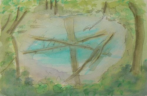 北海道の渓流に住む魚の透明水彩画 （渓流の魚」 by Nob