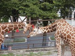 旭山動物園