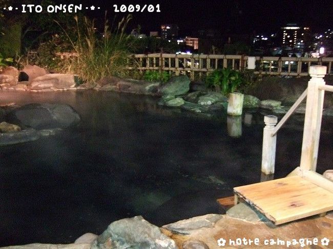 毎年恒例我が家の冬休みの温泉旅行。<br />2009年は初の伊東温泉♪