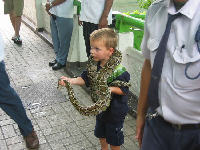 ※注意※ヘビ嫌いな人はこの日記見ないほうがいいです※注意※<br /><br />蛇年だから？？<br />自分、ヘビが大好きです。<br />飼いたいぐらいですが、周りの皆に大反対がある為断念しております。<br /><br />タイには真面目にヘビと向き合う研究施設があります。<br />ヘビが沢山いるタイでは日々研究が進み、<br />ヘビの毒や生体について研究しているのでございます。<br /><br />そんな施設で、一般の方にも蛇を知ってもらおうと<br />施設の一部を開放しています。<br /><br />ヘビが苦手な人は見ないほうがよい日記ですのでご注意を。。。