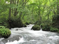 北東北をまわってきました #3　（十和田湖～奥入瀬渓谷）  