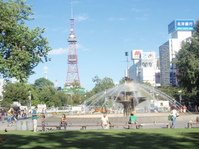 　真夏に日本で開催される唯一のフルマラソン、北海道マラソン。今年も８月末の日曜日に開催されました。昨年までとは違い制限時間が１時間延びて５時間、コースも北海道大学構内や道庁など有名どころを走るコースとなりました。昨年まで真夏に４時間以内で走ることがステータスだと思っていたのと、９月に海外遠征（ベルリンマラソン）を控えていたので出るのをやめようかと思っていたのでが、新しいコースということでエントリーしていまいました。昨年の失敗を踏まえて、練習距離も１００Ｋ増えて、シューズもオリジナルの中敷きを入れて（中敷きだけでも１万５千しました）、前の週にはハーフマラソン（これが大誤算）を走り、順調に調整してきたのですが。結果は・・・