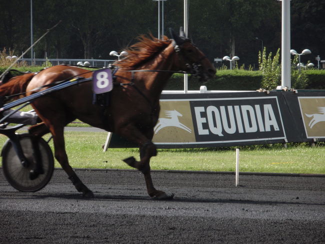 アムステルダム（１泊）→ブリュッセル（１泊）→パリ（２泊）→ロンドン（２泊）<br />私の趣味の美術館めぐりと夫の趣味の競馬場めぐりを敢行！<br /><br />パリでは、ヴァンセンヌ競馬場へ行くことがメインイベント☆<br />ヴァンセンヌでは、日本では見られないトロット競馬（速歩競走）が行われている。<br />そのほかルーブル美術館、オランジュリー美術館、凱旋門、エッフェル塔、ノートルダム寺院など、主要な観光地を回る。